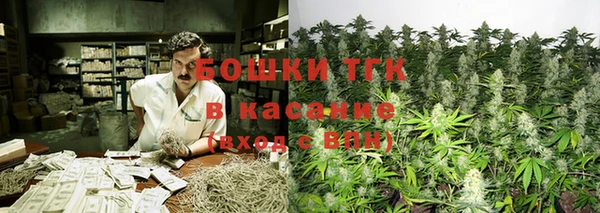 шишки Абинск