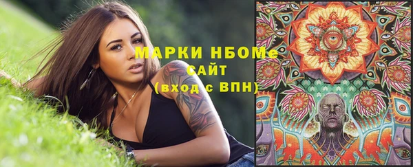 шишки Абинск