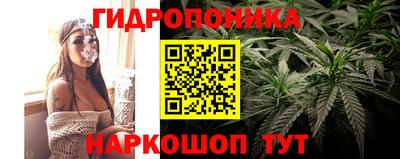 спайс Кулебаки