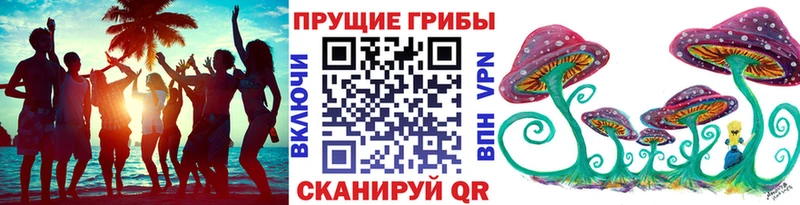 Галлюциногенные грибы Psilocybine cubensis  сайты даркнета клад  Сертолово  наркошоп  KRAKEN  