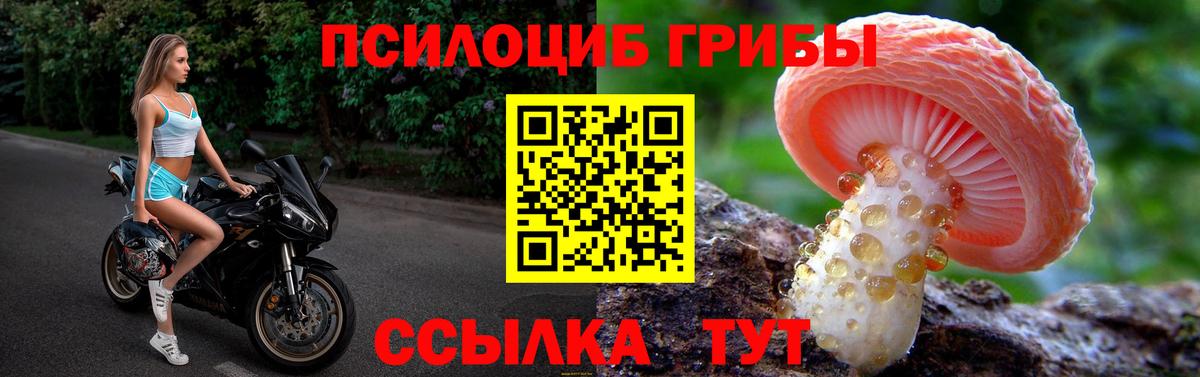 Галлюциногенные грибы Magic Shrooms  Вход с VPN  Сертолово 