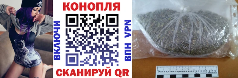 закладки  Сертолово  Конопля гибрид 