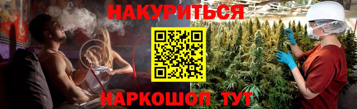 Канабис сатива Сертолово